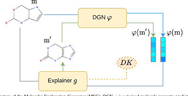 Figure 1 for MEG: Generating Molecular Counterfactual Explanations for Deep Graph Networks