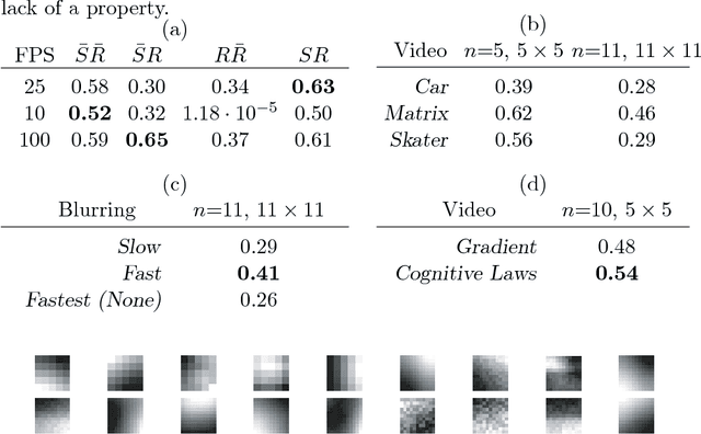 Figure 2 for Cognitive Action Laws: The Case of Visual Features
