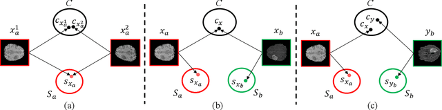Figure 2 for Learning Multi-Modal Brain Tumor Segmentation from Privileged Semi-Paired MRI Images with Curriculum Disentanglement Learning