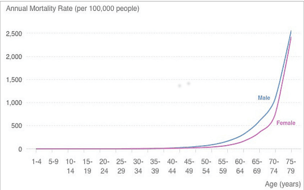Figure 2 for CT Image Registration in Acute Stroke Monitoring