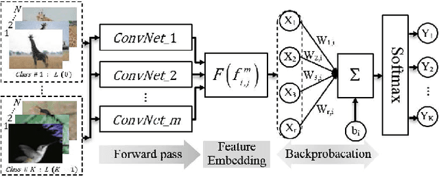 Figure 1 for A Feature Embedding Strategy for High-level CNN representations from Multiple ConvNets