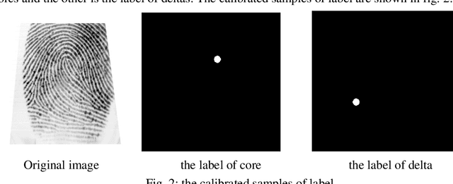 Figure 3 for Singular points detection with semantic segmentation networks