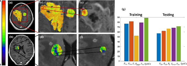 Figure 3 for Spatial-And-Context aware (SpACe) "virtual biopsy" radiogenomic maps to target tumor mutational status on structural MRI