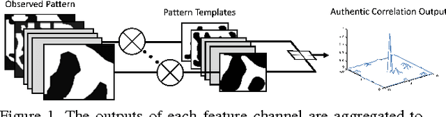 Figure 1 for Maximum Margin Vector Correlation Filter