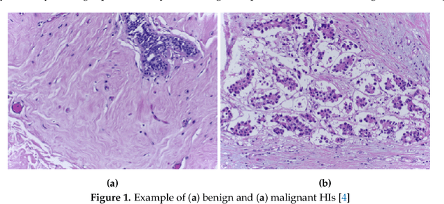 Figure 1 for Machine Learning Methods for Histopathological Image Analysis: A Review