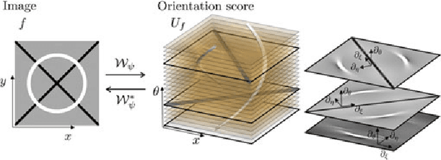 Figure 3 for Template Matching via Densities on the Roto-Translation Group