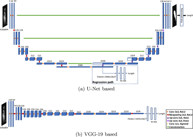 Figure 1 for Deep Learning for Automatic Spleen Length Measurement in Sickle Cell Disease Patients