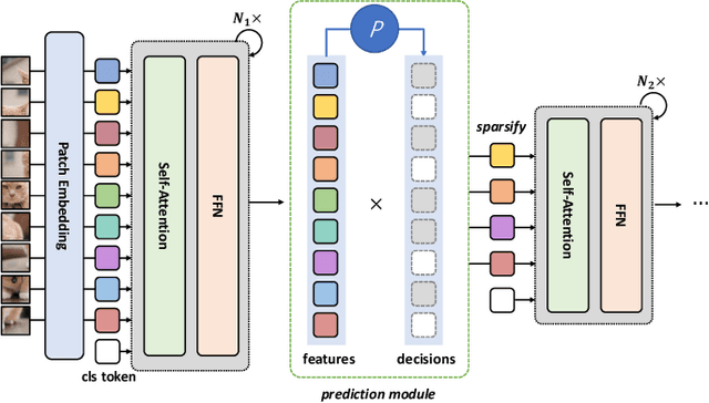 Figure 3 for Dynamic Spatial Sparsification for Efficient Vision Transformers and Convolutional Neural Networks