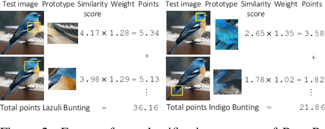 Figure 2 for Neural Prototype Trees for Interpretable Fine-grained Image Recognition