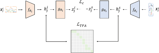 Figure 3 for Temporal Feature Alignment in Contrastive Self-Supervised Learning for Human Activity Recognition