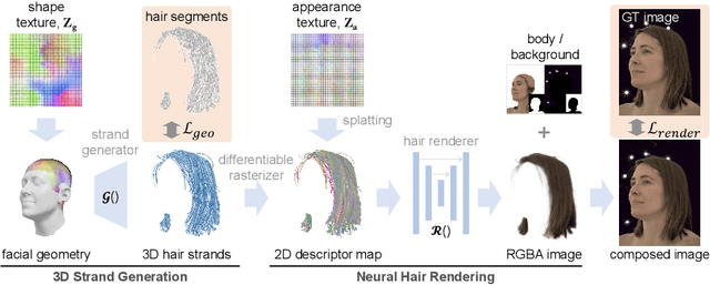 Figure 3 for Neural Strands: Learning Hair Geometry and Appearance from Multi-View Images