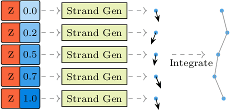 Figure 4 for Neural Strands: Learning Hair Geometry and Appearance from Multi-View Images