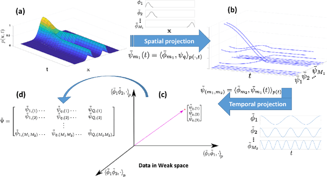 Figure 1 for Inference of Stochastic Dynamical Systems from Cross-Sectional Population Data
