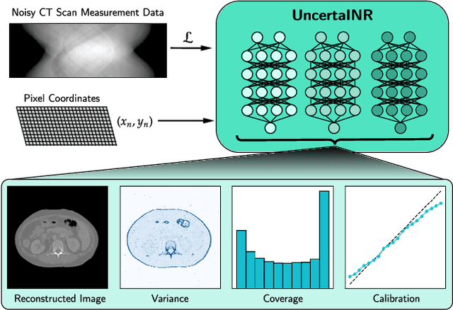 Figure 1 for UncertaINR: Uncertainty Quantification of End-to-End Implicit Neural Representations for Computed Tomography