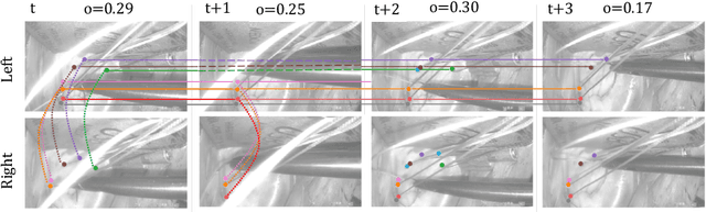 Figure 3 for mvHOTA: A multi-view higher order tracking accuracy metric to measure spatial and temporal associations in multi-point detection