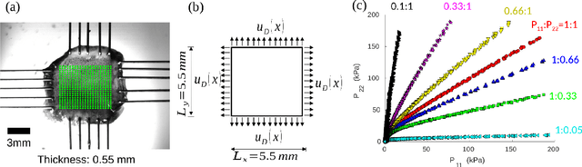 Figure 1 for A Physics-Guided Neural Operator Learning Approach to Model Biological Tissues from Digital Image Correlation Measurements