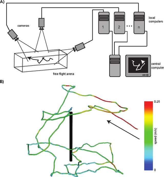 Figure 1 for Multi-camera Realtime 3D Tracking of Multiple Flying Animals