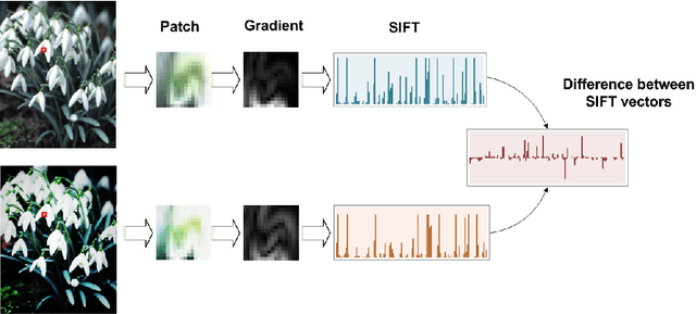 Figure 3 for An Adaptive Descriptor Design for Object Recognition in the Wild