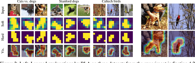 Figure 2 for Bounded logit attention: Learning to explain image classifiers