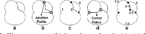 Figure 3 for Identification and Counting White Blood Cells and Red Blood Cells using Image Processing Case Study of Leukemia