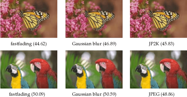 Figure 1 for Domain-Aware No-Reference Image Quality Assessment