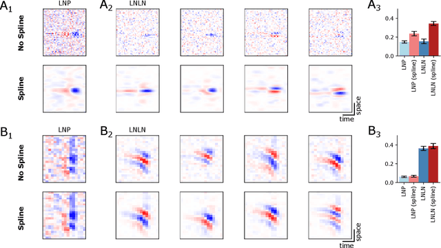Figure 4 for Estimating smooth and sparse neural receptive fields with a flexible spline basis