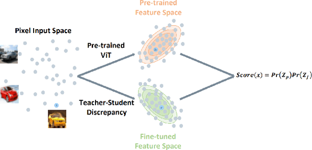 Figure 1 for Transformaly -- Two (Feature Spaces) Are Better Than One
