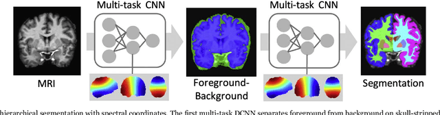 Figure 1 for DeepNAT: Deep Convolutional Neural Network for Segmenting Neuroanatomy