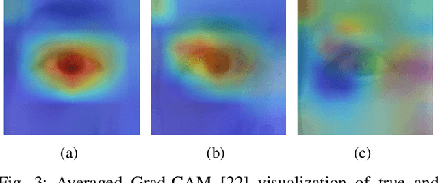 Figure 3 for Investigating Fairness of Ocular Biometrics Among Young, Middle-Aged, and Older Adults