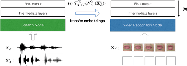 Figure 1 for Multimodal Transfer Deep Learning with Applications in Audio-Visual Recognition