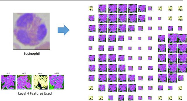 Figure 3 for Illuminated Decision Trees with Lucid