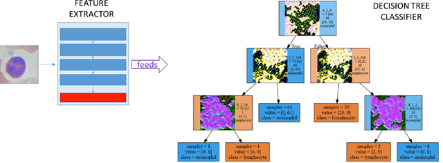 Figure 4 for Illuminated Decision Trees with Lucid