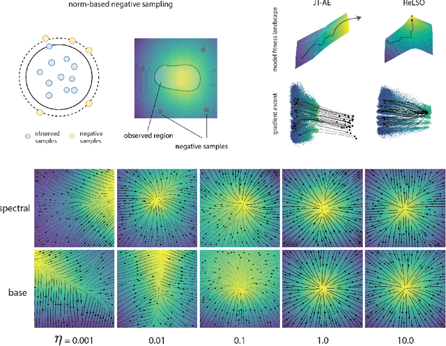 Figure 3 for Guided Generative Protein Design using Regularized Transformers