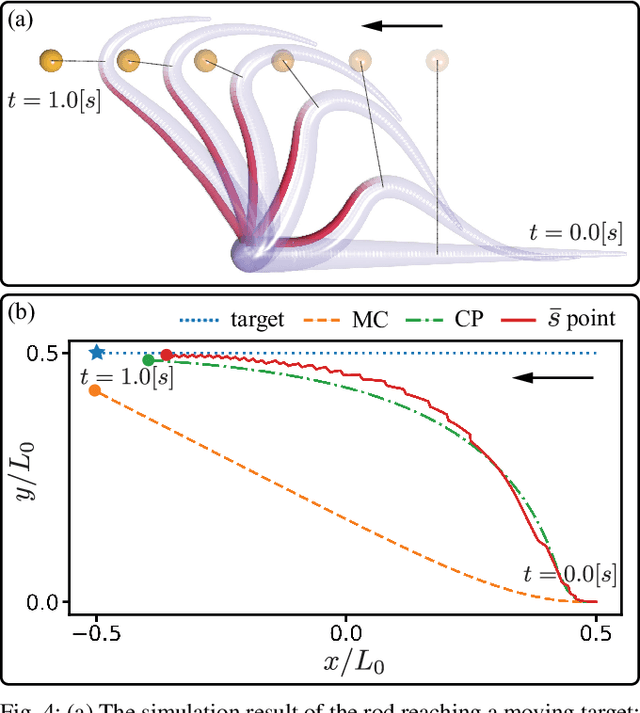 Figure 4 for A Sensory Feedback Control Law for Octopus Arm Movements