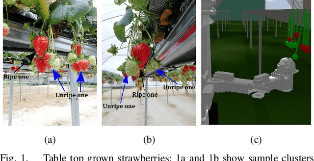 Figure 1 for Planning Actions by Interactive Movement Primitives: pushing occluding pieces to pick a ripe fruit