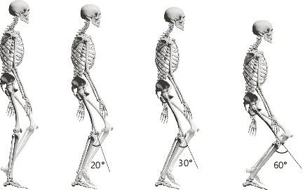 Figure 4 for Understanding the Stability of Deep Control Policies for Biped Locomotion