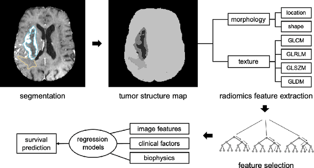 Figure 4 for Automatic Brain Tumour Segmentation and Biophysics-Guided Survival Prediction