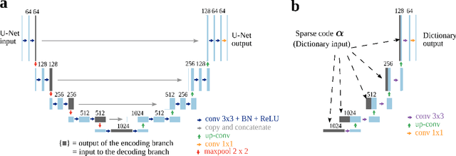Figure 2 for Interpreting U-Nets via Task-Driven Multiscale Dictionary Learning