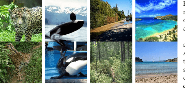 Figure 1 for Right for the Right Reason: Training Agnostic Networks