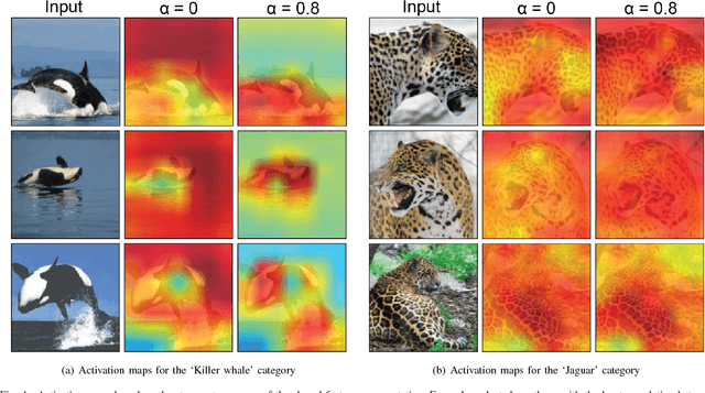 Figure 4 for Right for the Right Reason: Training Agnostic Networks