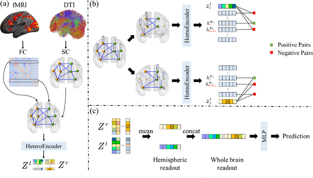 Figure 3 for A Heterogeneous Graph Based Framework for Multimodal Neuroimaging Fusion Learning