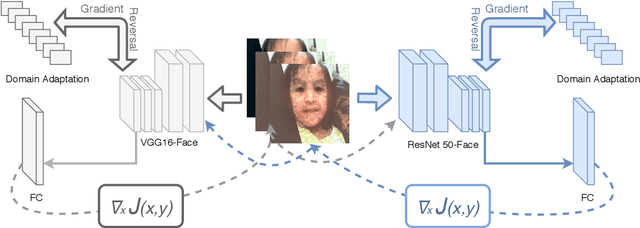 Figure 2 for Simultaneous Adversarial Training - Learn from Others Mistakes