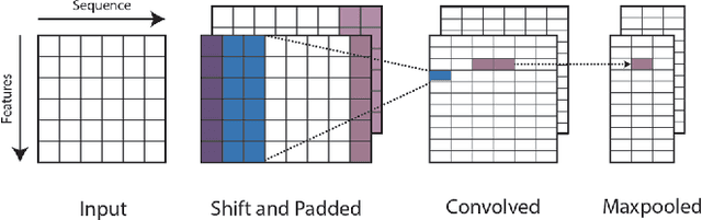 Figure 1 for MUST-CNN: A Multilayer Shift-and-Stitch Deep Convolutional Architecture for Sequence-based Protein Structure Prediction