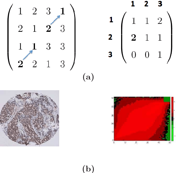 Figure 3 for Incorporating Deep Features in the Analysis of Tissue Microarray Images