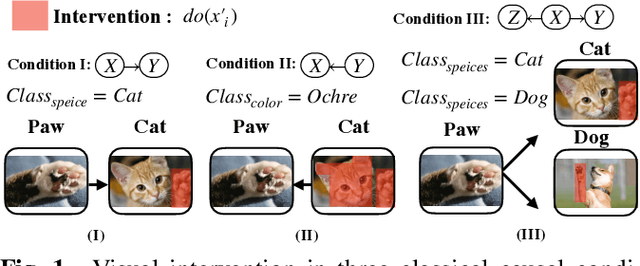 Figure 1 for When Causal Intervention Meets Image Masking and Adversarial Perturbation for Deep Neural Networks