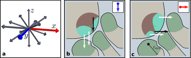 Figure 2 for Synaptic partner prediction from point annotations in insect brains