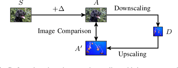 Figure 3 for Backdooring and Poisoning Neural Networks with Image-Scaling Attacks