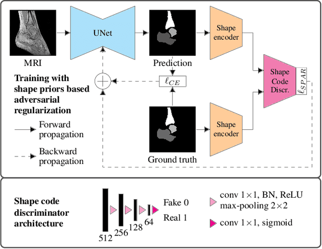 Figure 1 for Multi-Structure Deep Segmentation with Shape Priors and Latent Adversarial Regularization