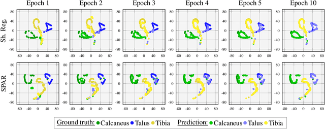 Figure 4 for Multi-Structure Deep Segmentation with Shape Priors and Latent Adversarial Regularization