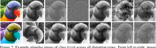 Figure 3 for Generalisation in humans and deep neural networks